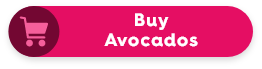 Buy Avocados