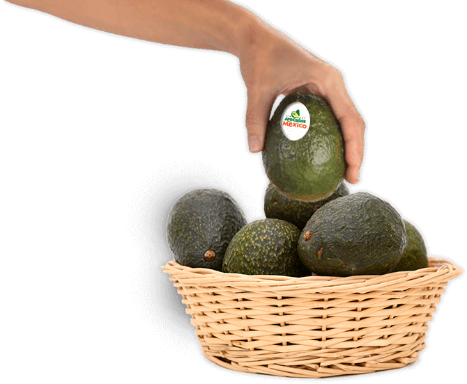 How to Buy Avocados Avocados From Mexico