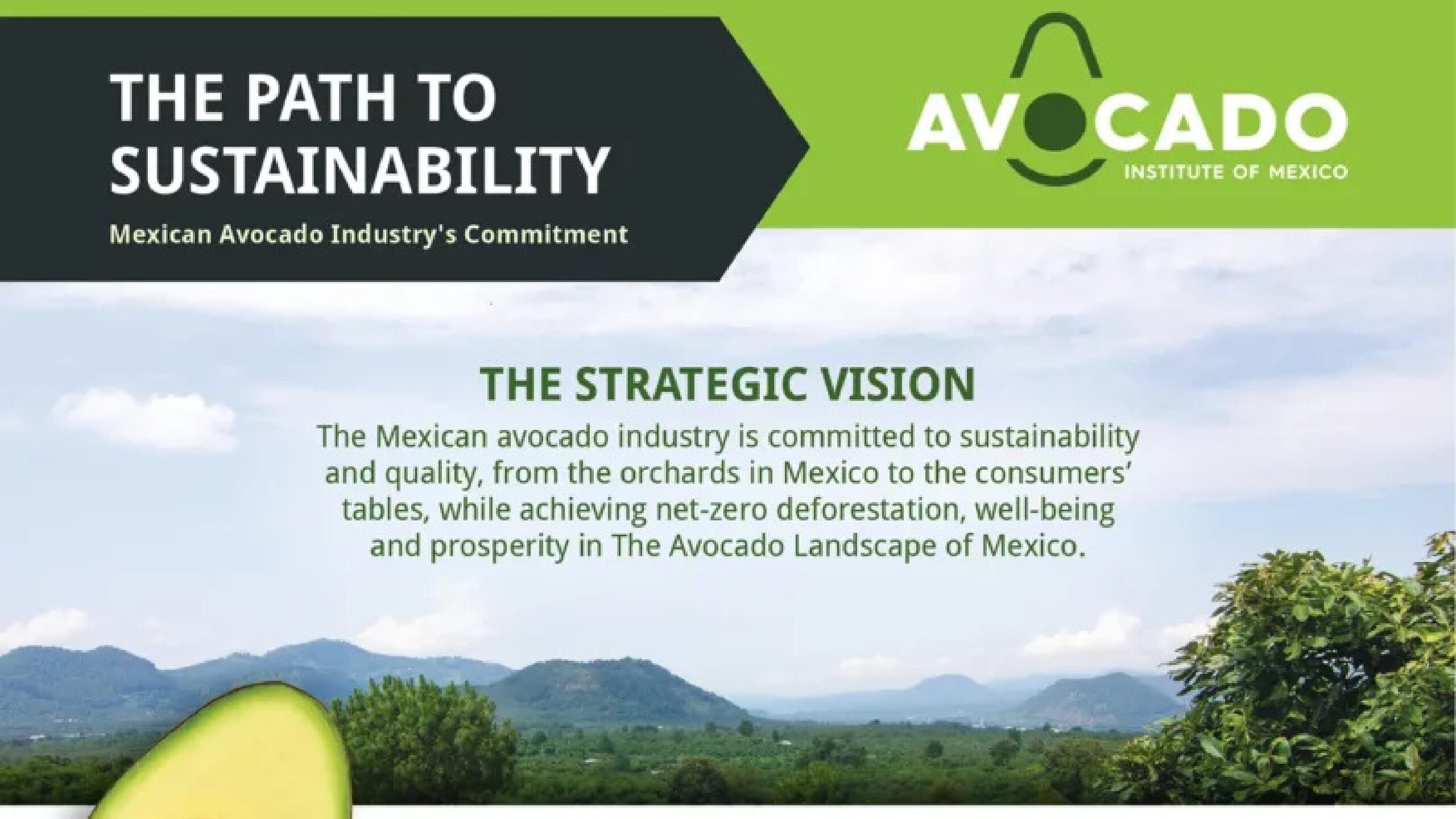 Mexican Avocado Industry Unites to Reveal a New Path to Sustainability